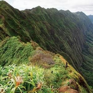 Meet your Posher, Valerie